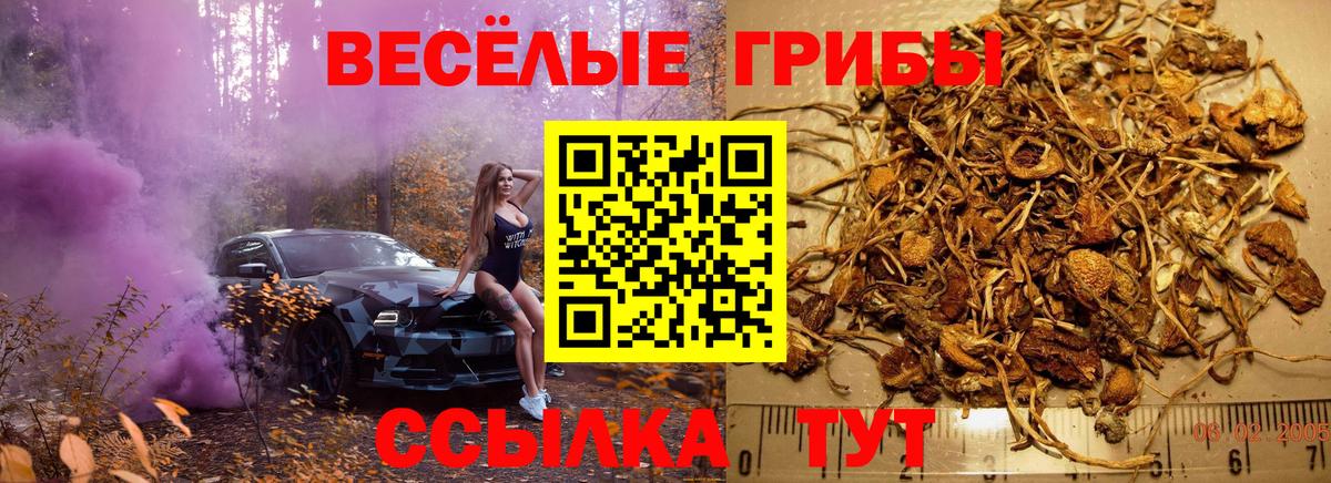 Галлюциногенные грибы ЛСД  Вход с VPN  наркошоп  Новокузнецк 